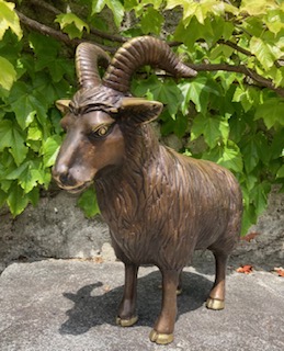 25.BOUQUETIN